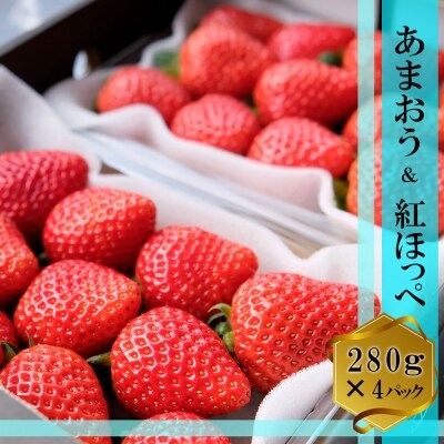 いちご あまおう&紅ほっぺ 各2パック (280g×4)[No5354-0469]