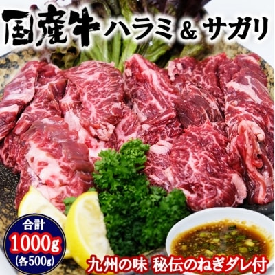 【お肉のプロが厳選】 国産牛 サガリ&ハラミ 各500g ねぎダレ付