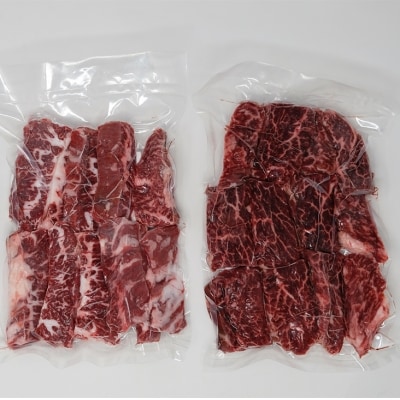 【お肉のプロが厳選】 国産牛 サガリ&ハラミ 各500g ねぎダレ付