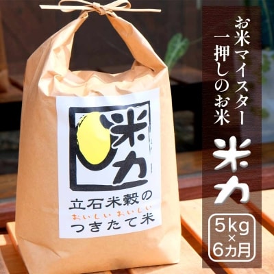 【5kg×6ヵ月定期便】立石米穀「米力」精米 中旬配送【栽培期間中:農薬・肥料不使用】