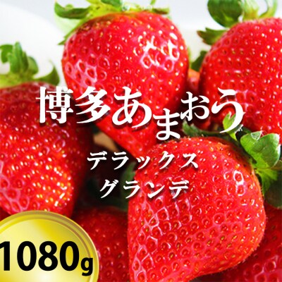 博多あまおう デラックス&グランデ 4p【お申込:2024年12月末迄】[No5354-0905]