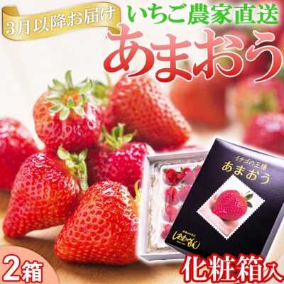 いちご 3月以降配送 しあわせもん あまおう 化粧箱 2箱 白木のいちご[No5354-0589]