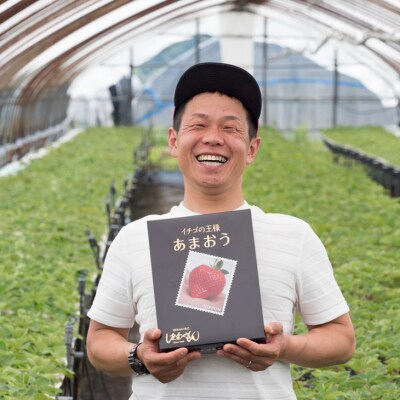 いちご 3月以降配送 しあわせもん あまおう 化粧箱 2箱 白木のいちご[No5354-0589]