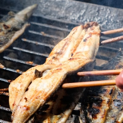 かけはし 創業40年 全てが職人による手焼き うなぎの白焼き 1尾[No5354-0059]
