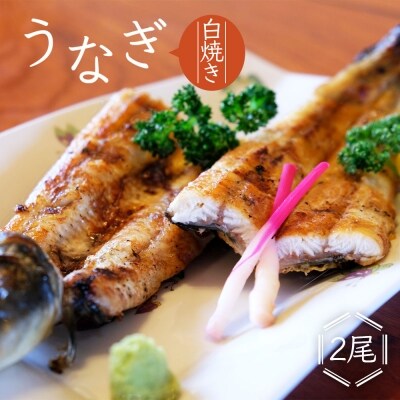 かけはし 創業40年 全てが職人による手焼き うなぎの白焼き 2尾[No5354-0060]
