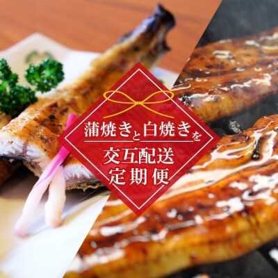 【4ヵ月定期便 交互配送】うなぎの蒲焼き2尾、白焼き2尾を交互配送