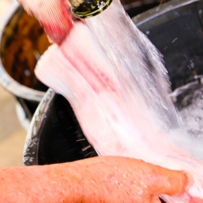 【8ヵ月定期便 交互配送】うなぎの蒲焼き2尾、白焼き2尾を交互配送