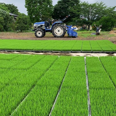 100年続く田中農園のうまい米　夢つくし「田中茂米」 精米 3kg