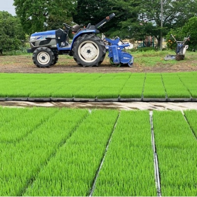 100年続く田中農園のうまい米 夢つくし 「田中茂米」 精米 5kg[No5354-2180]