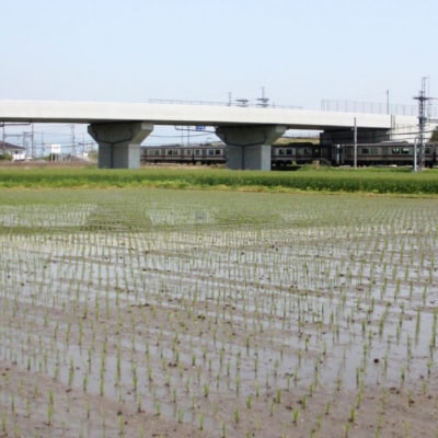 100年続く田中農園のうまい米 夢つくし 「田中茂米」 精米 5kg[No5354-2180]