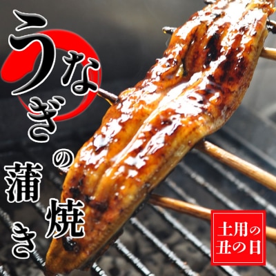 【土用の丑の日】創業40年 職人こだわりの「備長炭で手焼き」 うなぎの蒲焼き 1尾　秘伝のたれ