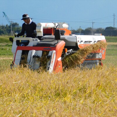 和農BARU　ヒノヒカリ　5kg(玄米)　栽培期間中:化学肥料・農薬・除草剤不使用
