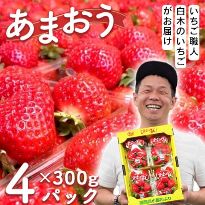 いちご 白木のいちご あまおう 300g×4パック詰め (M～3Lサイズ)[No5354-0592]