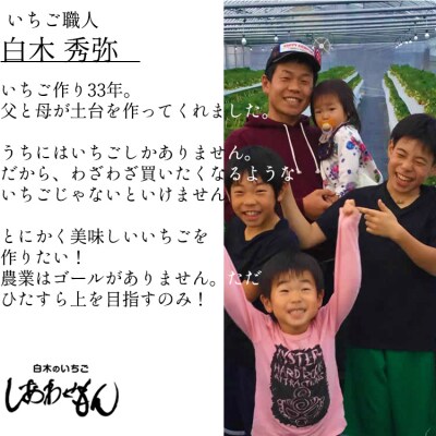 いちご職人　白木のいちご 「あまおう化粧箱」1箱と「旬のいちご化粧箱」2箱　3種食べ比べセット