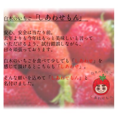 いちご職人　白木のいちご 「あまおう化粧箱」1箱と「旬のいちご化粧箱」2箱　3種食べ比べセット