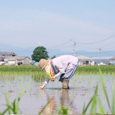 たるみ農園　ヒノヒカリ　白米　5kg　【栽培期間中:化学肥料、有機肥料、農薬、除草剤不使用】