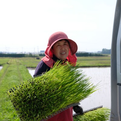 【3ヵ月定期便】たるみ農園　ヒノヒカリ　白米　 2kg　中旬配送【栽培期間中:化学肥料、有機肥料、農