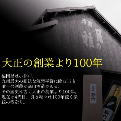 【定期便】小郡 夏の風物詩 もりやまの無添加アイスキャンディー 40本入　3回定期便