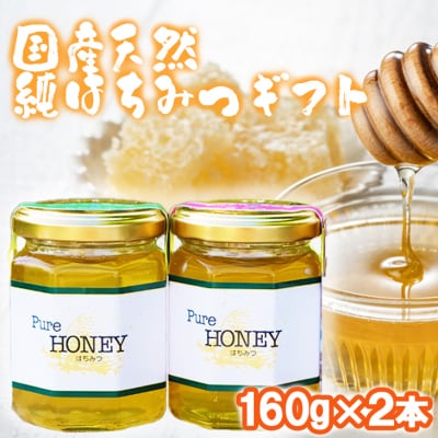 はちみつ 化粧箱入り 160g×2本セット さくら&もちのき ギフト[No5354-0327]