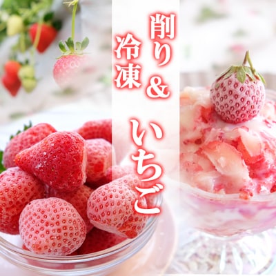 いちご 冷凍いちご 1kg&削りいちご 400g 練乳付き 福田ファーム[No5354-0470]