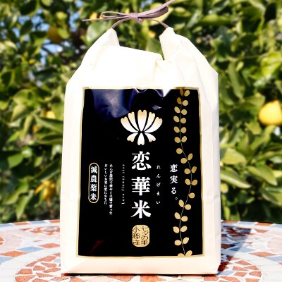 定期便3回 有機れんげ栽培 恋華米ロイヤル 玄米 2kg×3カ月[No5354-0901]