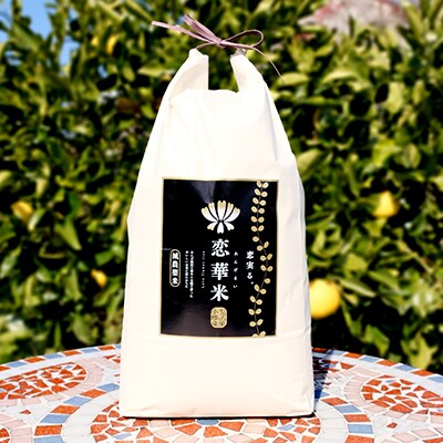 定期便6回 有機れんげ栽培 恋華米ロイヤル 玄米 5kg×6カ月[No5354-0897]