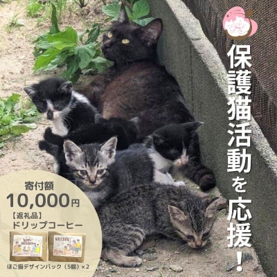 ドリップコーヒーさくらねこサポートOGORI 保護猫活動を応援! コーヒー[No5354-0511]
