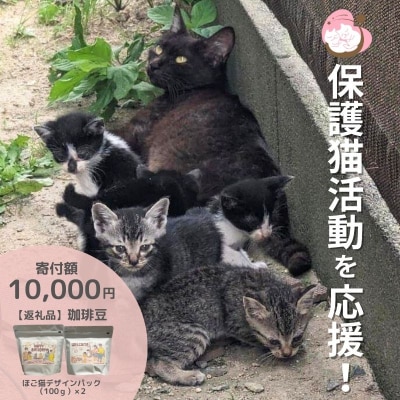 珈琲 さくらねこサポートOGORI 保護猫活動を応援! コーヒー豆[No5354-0512]