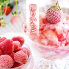 いちご ふわっと溶ける贅沢スイーツ 削りいちご 600g 練乳付き[No5354-0471]