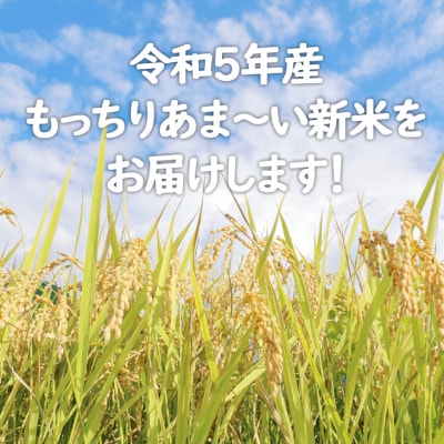 先行予約 栽培期間中 無農薬栽培 令和6年産 ミルキークイーン 10kg[No5354-0355]