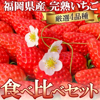 ギフトにおすすめ いただきいちご園の食べ比べセット 厳選4品種 化粧箱入り[No5354-0488]