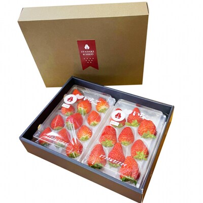 ギフトにおすすめ いただきいちご園の食べ比べセット 厳選4品種 化粧箱入り[No5354-0488]