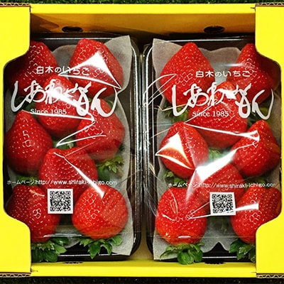 いちご職人 白木のいちご「しあわせもん」 あまおう2パック