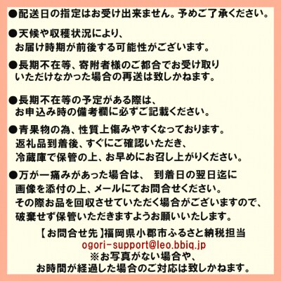 いちご職人 白木のいちご「しあわせもん」 あまおう2パック