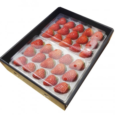 いただきいちご園食べ比べ 厳選2品種 粒ぞろい 15玉入り×2p 化粧箱入[No5354-0497]
