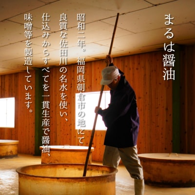 もつ鍋 セット 和風醤油仕立て 4～6人前[No5354-0259]