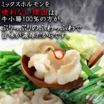 国産牛上ホルモン100% 博多もつ鍋セット(九州味噌仕立て)4～6人前