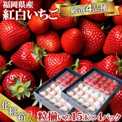 【化粧箱】いただきいちご園の紅白いちご食べ比べセット 赤いちごと白いちごそれぞれ2品種 化粧箱入