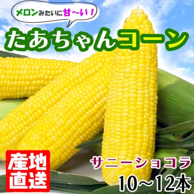 【先行受付】生でも美味しいとうもろこし　　白水農園のたあちゃんコーン10～12本【サニーショコラ】