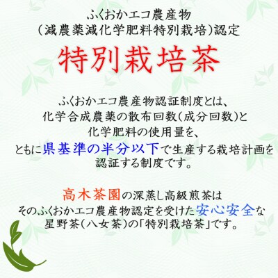 八女茶 奥八女星野村 特別栽培茶 高級煎茶 (深蒸し茶) 100g×2袋[No5354-0245]