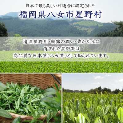 八女茶 奥八女星野村 特別栽培茶 高級煎茶 (深蒸し茶) 100g×2袋[No5354-0245]