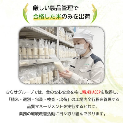 【6回定期便】むらせライスの無洗米めし丸　福岡県産夢つくし 5kg　精米HACCP認証
