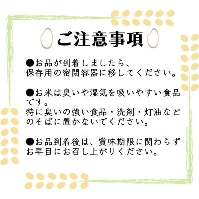 【6回定期便】むらせライスの無洗米めし丸　福岡県産夢つくし 5kg　精米HACCP認証