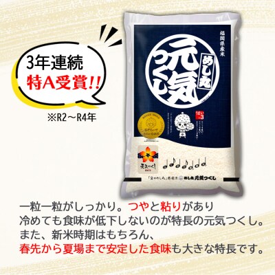 むらせライスの福岡県産めし丸夢つくし5kg・めし丸元気つくし5kg食べ比べセット　精米HACCP認証