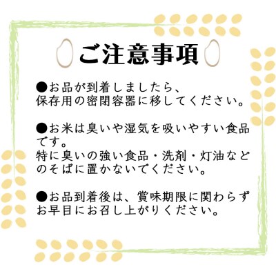 むらせライスの無洗米めし丸　福岡県産夢つくし10kg(5kg×2袋)精米HACCP認証