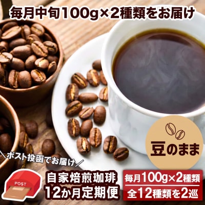 【12か月定期便・ポスト投函】自家焙煎コーヒー豆 100g×2袋 全12種[No5354-0231]