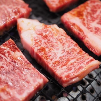 訳あり A4～A5 博多和牛 焼肉 切り落とし 500g[No5354-0560]