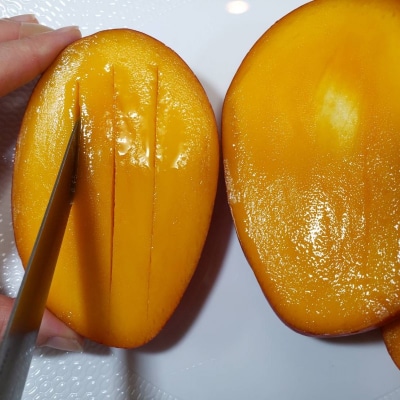 マンゴー 完熟 アップルマンゴー 1kg (大玉1～2玉) 果物[No5354-0808]