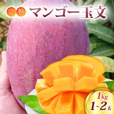 マンゴー 完熟マンゴー 玉文 1kg (1～2玉) 果物[No5354-0809]