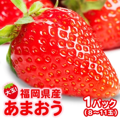 いちご 大玉! 福岡県産 あまおう (1パック 8玉又は11玉入り)[No5354-0865]